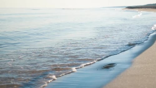 Femmes Feet Wear Sneakers