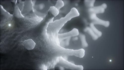 Realistic 3D Animation of Virus Cell Structure