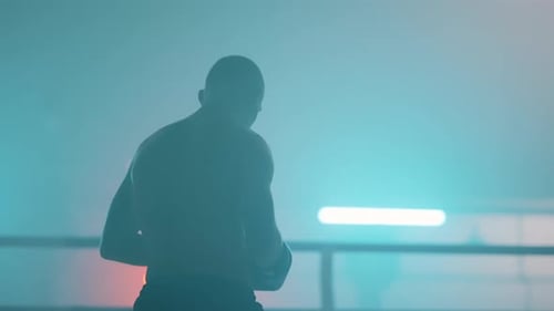 Fighter Silhouette