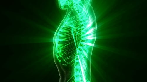 Human Body with Visible Skeletal Bones