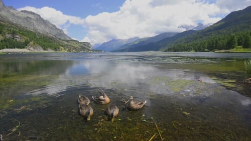 Toller Sonnentag am Champferersee