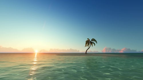 Palm Tree on Tropical Island Beach with Golden Sunset Loop