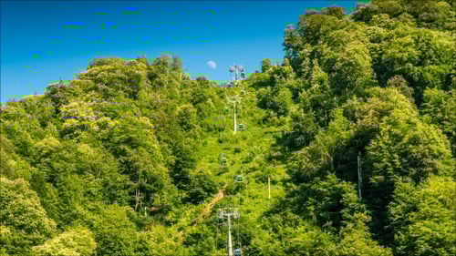 Lush Green Mountainside Cable Car Scenic View