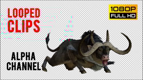 3D Animated Gnu Rearing Up Loop