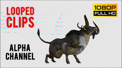 Charging Wildebeest Animation Loop
