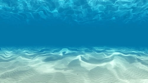 Ocean Waves From Underwater