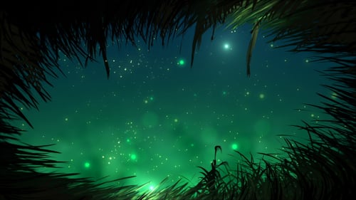 Herbe nocturne avec lucioles Loop