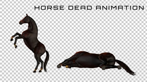 Realistic 3D Horse Animation with Alpha Channel