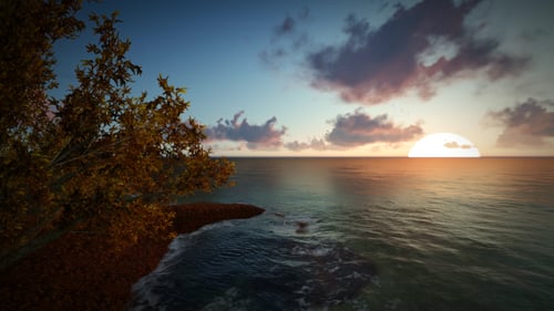 Sun View
