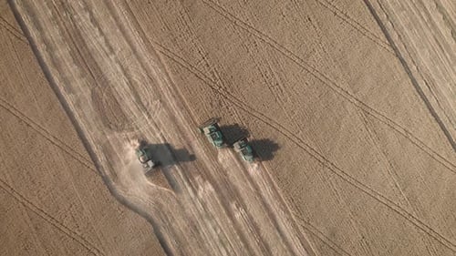 Vue aérienne des moissonneuses travaillant sur le grand champ de blé. Récolte agricole à maturité dorée