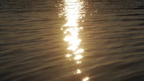 Sunlight Shimmers on Gentle Ocean Waves
