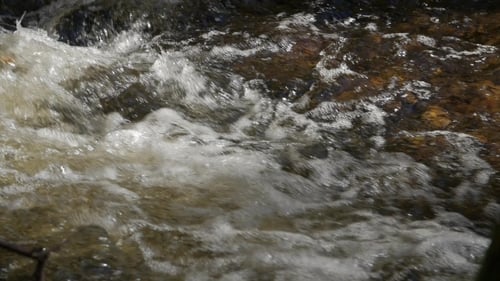 Gebirgsfluss im Wald