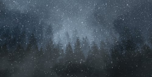 Dark Winter Forest with Heavy Snowfall Background