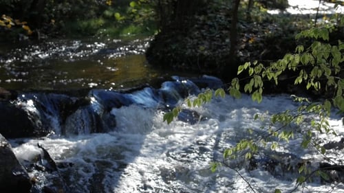 River Water Flowing Through the Stones Wonderful Nature Scene of Wilderness