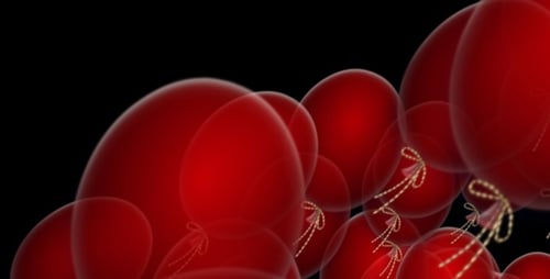 Elegant Red Heart Balloons Floating Animation