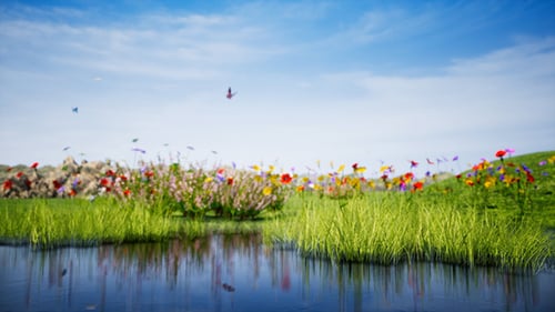 Sommer Seenlandschaft 4K