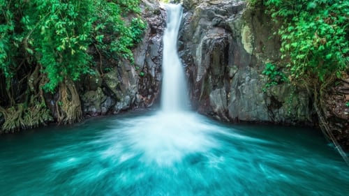 Tropical Waterfall Flows Through Dense Jungle Forest and Falls Into Wild Pond in Bali, Indonesia