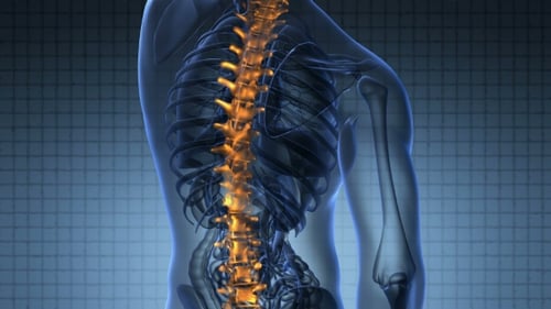 Backache in Back Bones