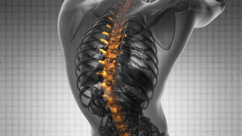 Animated Glowing Human Spine Anatomy Medical Visualization