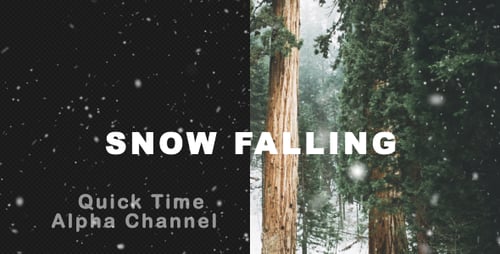 Falling Snow Realistic Overlay Alpha Channel