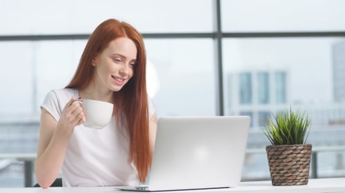 Young Smiling Business Woman Working Laptop in Office.