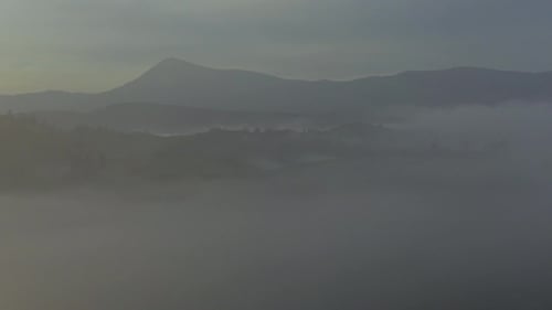 Beauty Fog in Carpathian Mountains