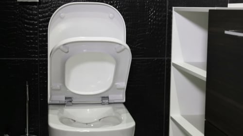 Toilet Lid Opens and Closes in Bathroom