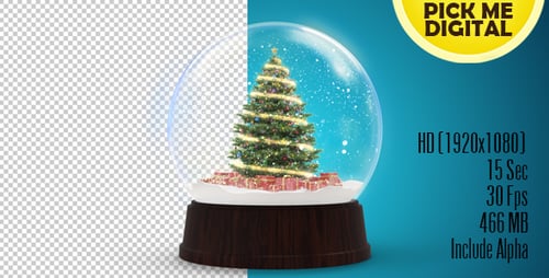 Snow Globe 360 Loop