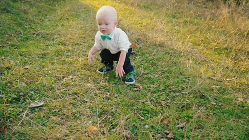 Blonde Boy Walking on Grassy Field in Sunlight