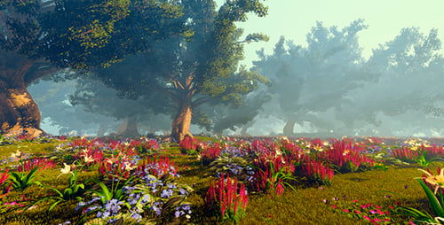 Field With Flowers And Trees
