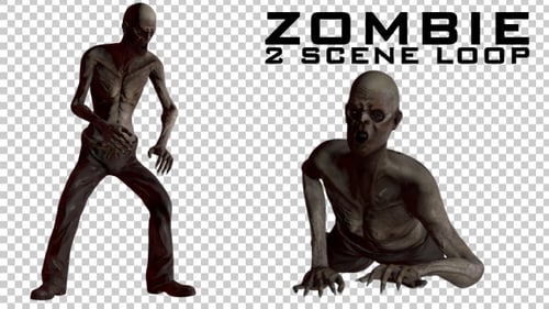 Zombie - 2 Scene Loop Animations