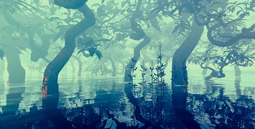 Trees Growing In The Swamp