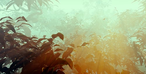 Mystérieuse brume matinale dans la forêt