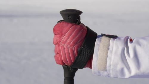 Alpine Ski Pole in Hand