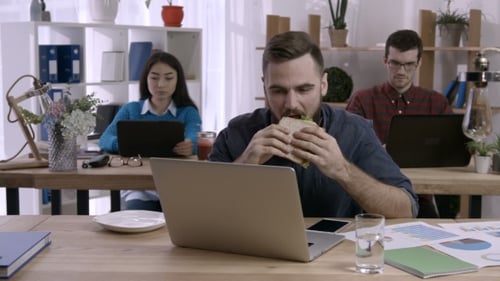 Office Workers Collaborating on Laptops in a Modern Workplace