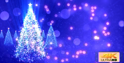 Sparkling Christmas Trees with Festive Glowing Bokeh Lights Background