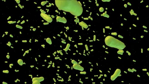 Green Bacteria Infection Able To Loop