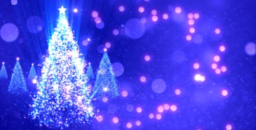 Glowing Christmas Trees and Sparkling Lights Festive Background