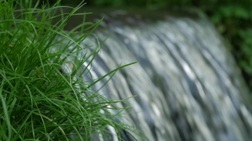 Flowing Water Splash on Waterfall with Green Grass