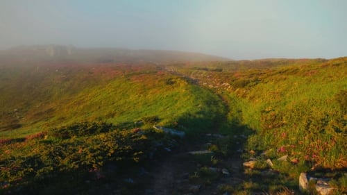 Aerial View of the Mountain Pass Through the Green Mountain Hills Untouchable Nature, Freshness