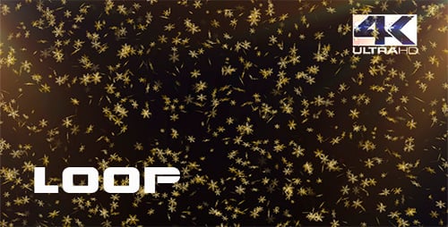 Golden Snowflakes Falling Loop Festive Background