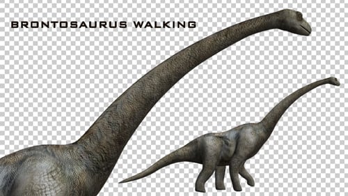 Realistic Brachiosaurus Walking Dinosaur Animation