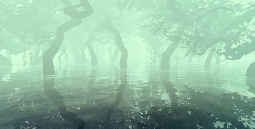 The Mysterious And Fabulous Forest In The Fog