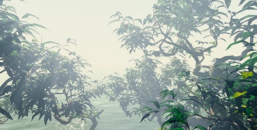 Fantastic Forest And Water