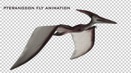 Pteranodon fliegender Dinosaurier