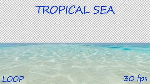 Clear Ocean Water Surface with Sunlight Reflections