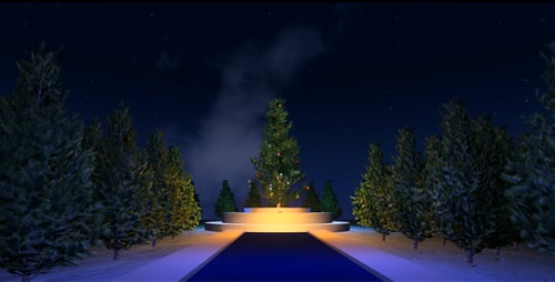 Festive Christmas Tree Path Entrance with Twinkling Lights