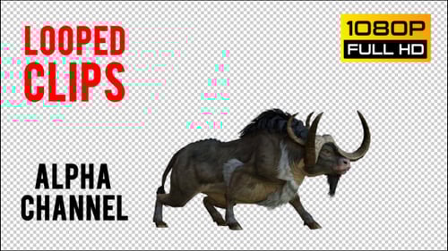 3D Animated Wildebeest Animal Action Pack