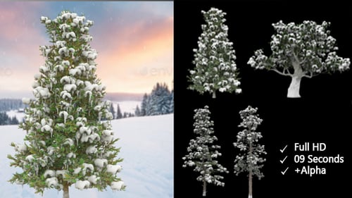 Animated 3D Snow-Covered Trees with Alpha Channel