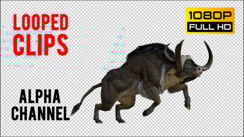 3D Animated Wildebeest Gnu Walk Run Trot Loop Cycle